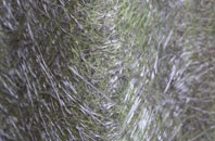 Sampford Peverell fibreglass roof work